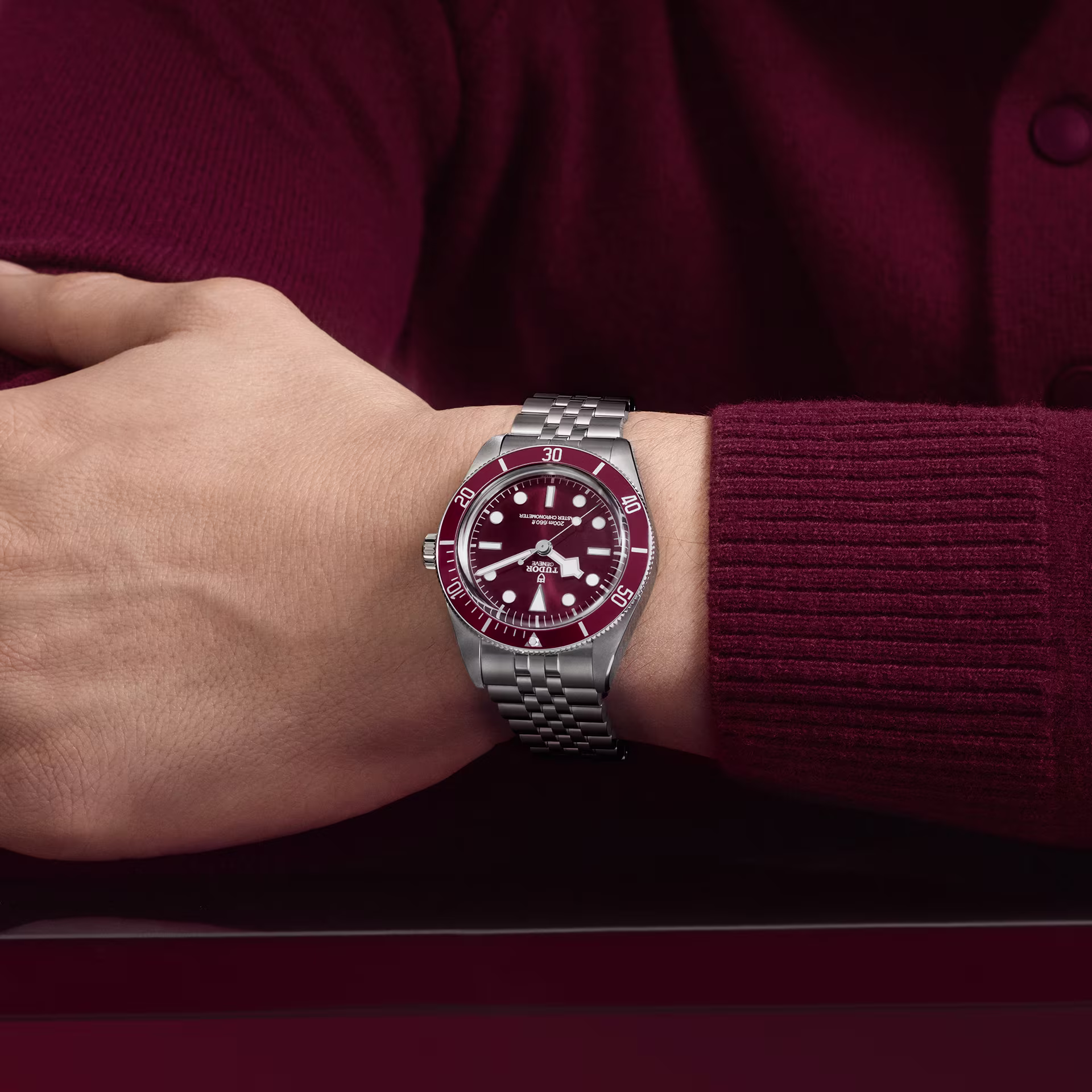 Tudor Black Bay 58 Burgundy Wrist-shot